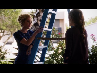 Под несчастливой звездой