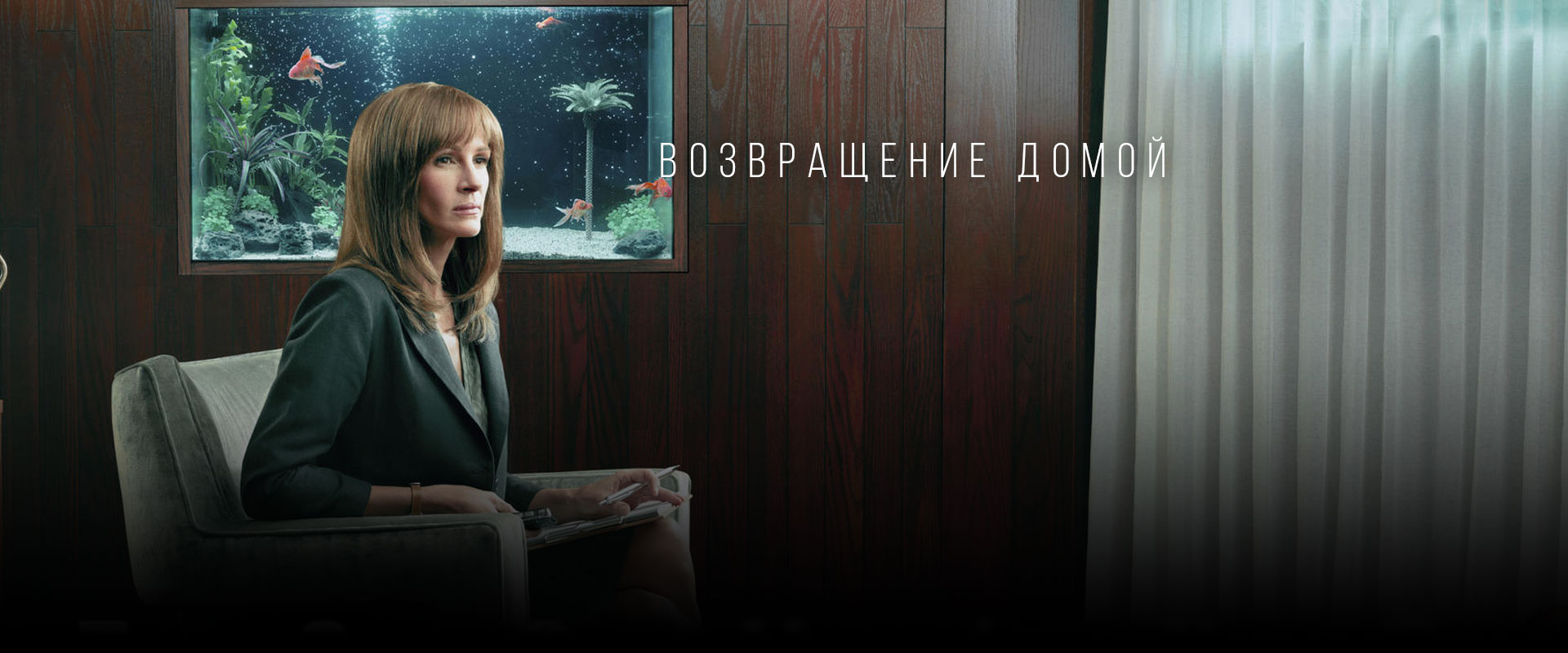 Возвращение домой