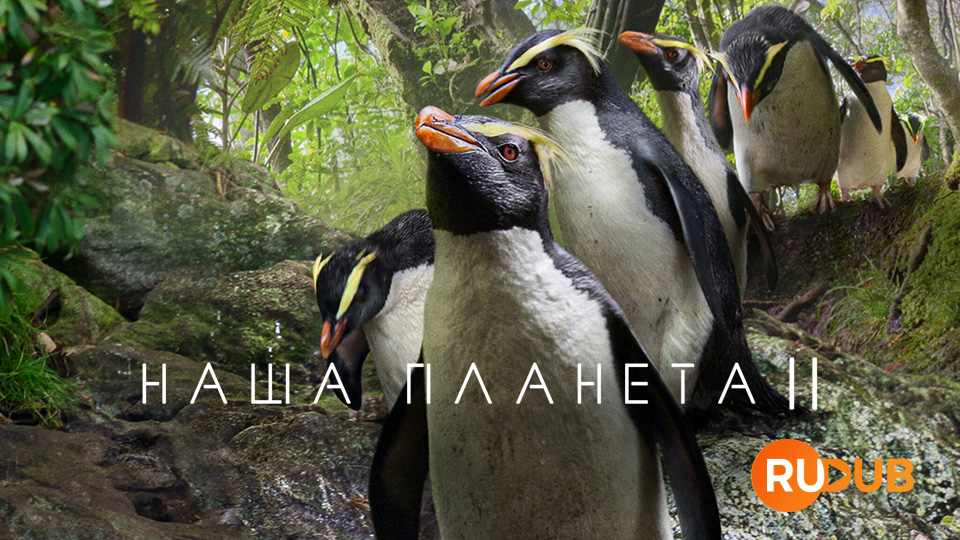 Наша планета