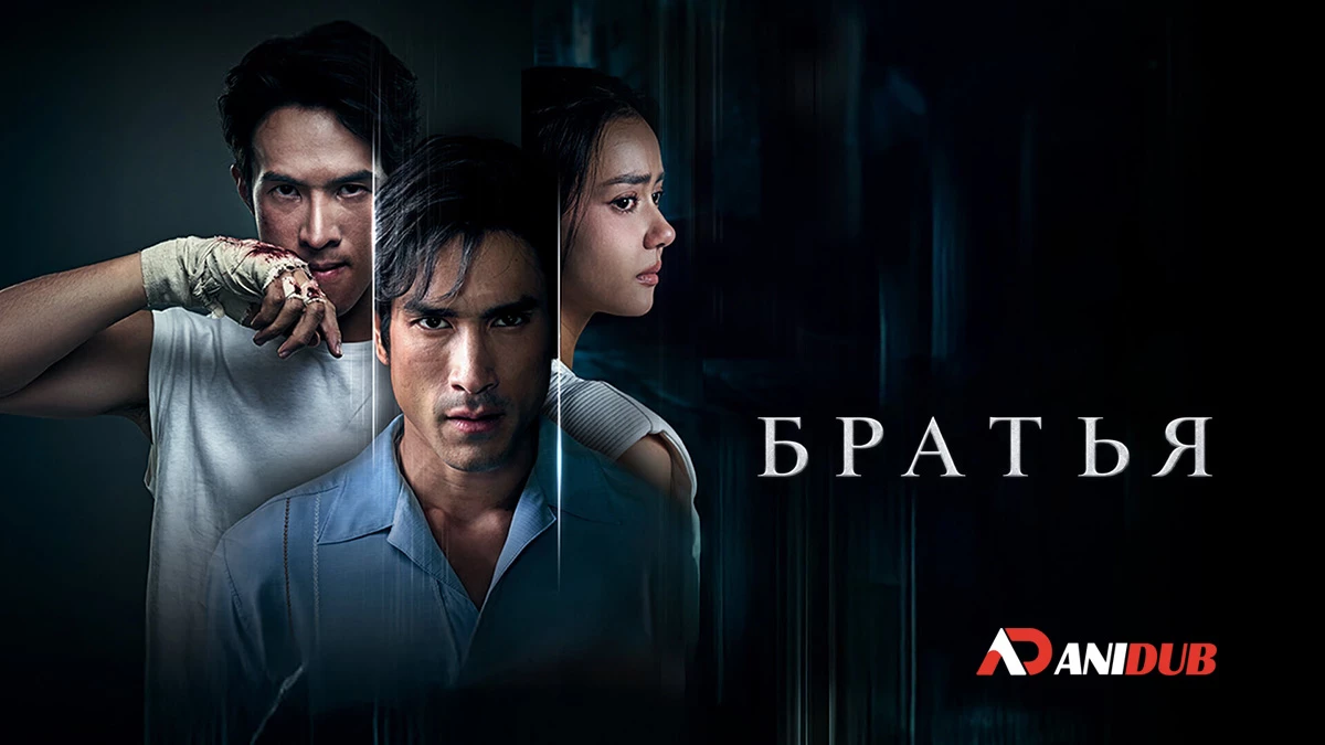 Братья